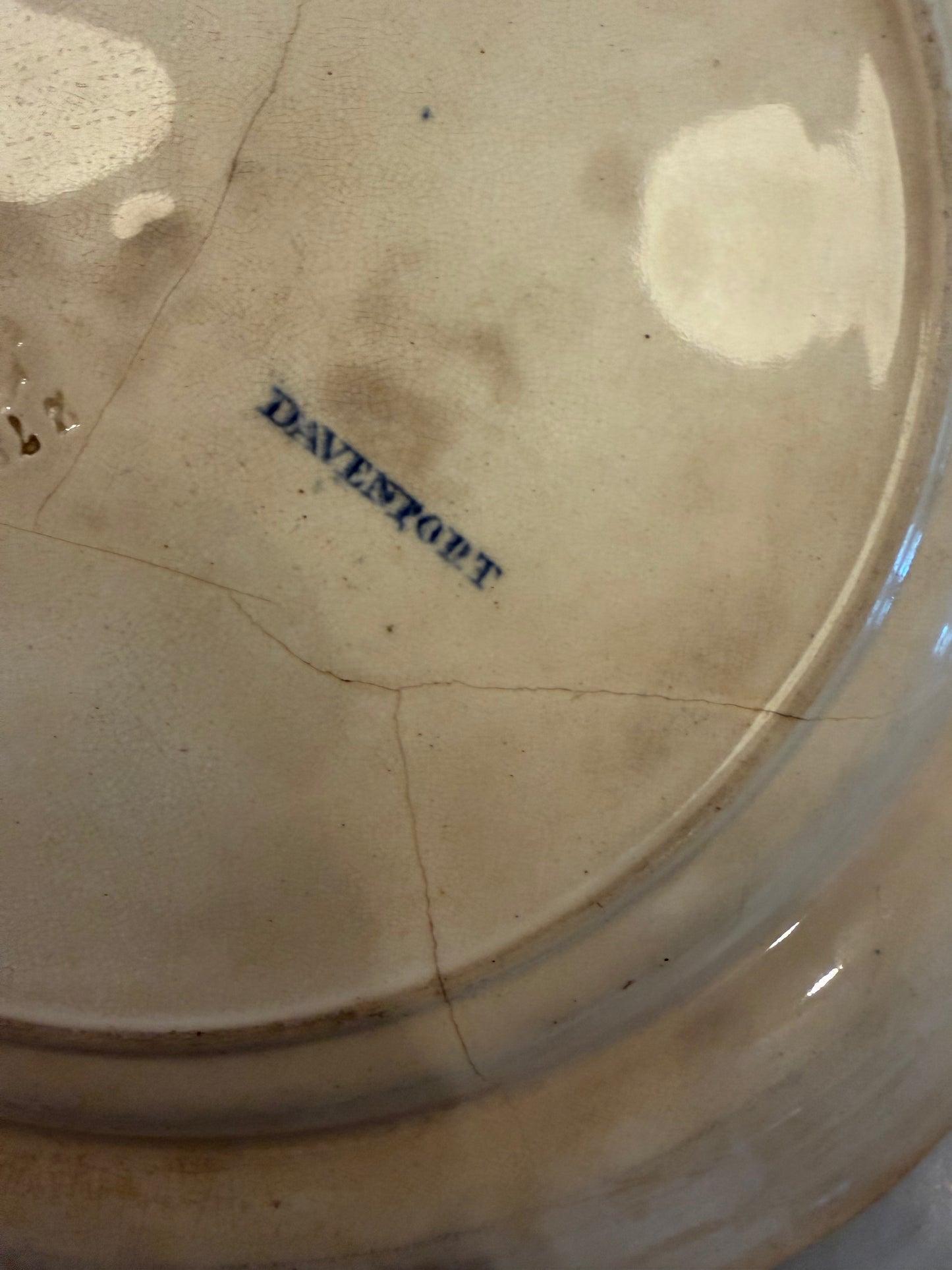 Antique Davenport Flying Bird Plate Circa 1845-1860